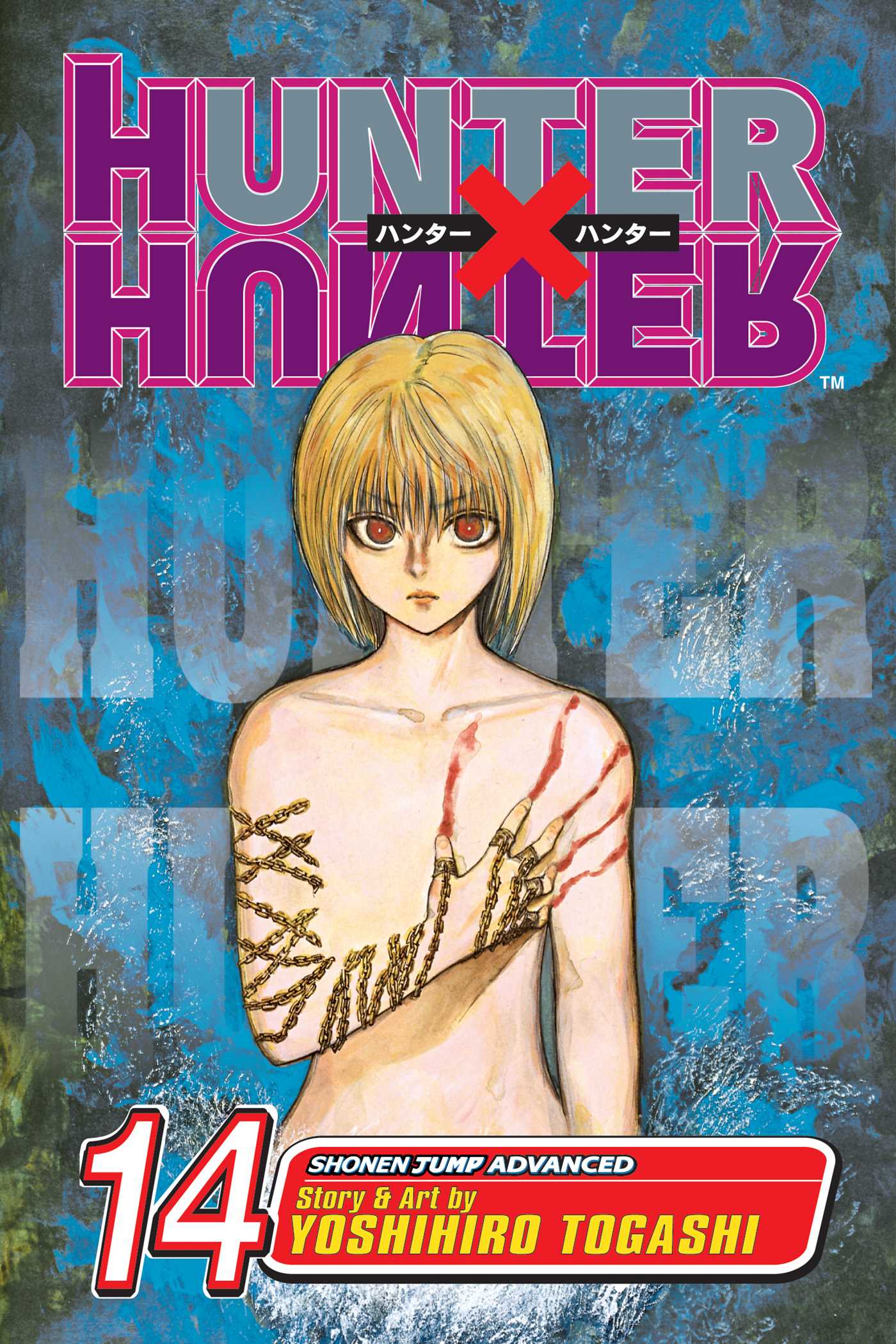 Hunter x Hunter Manga Volume 14