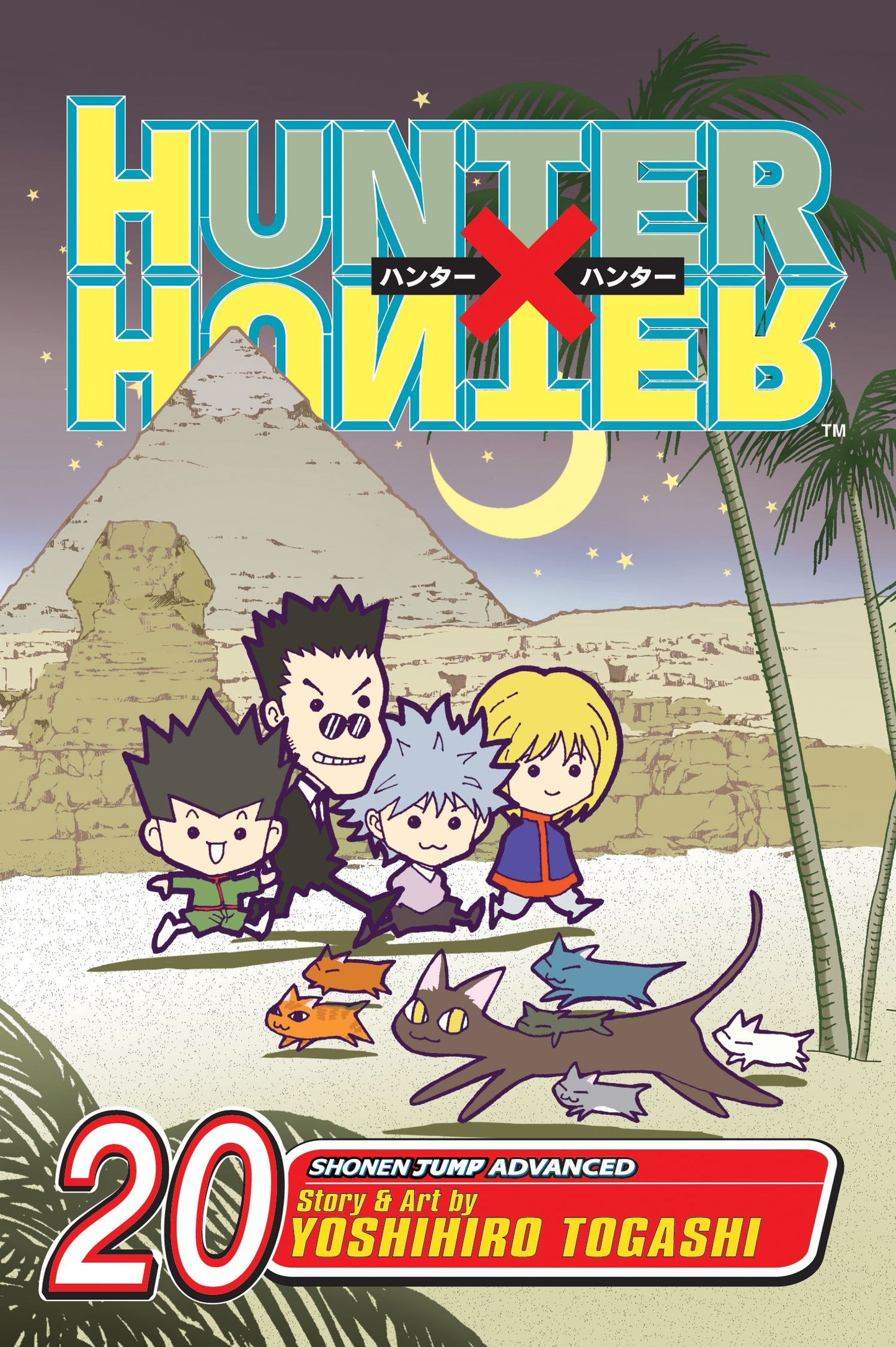 Hunter x Hunter Manga Volume 20