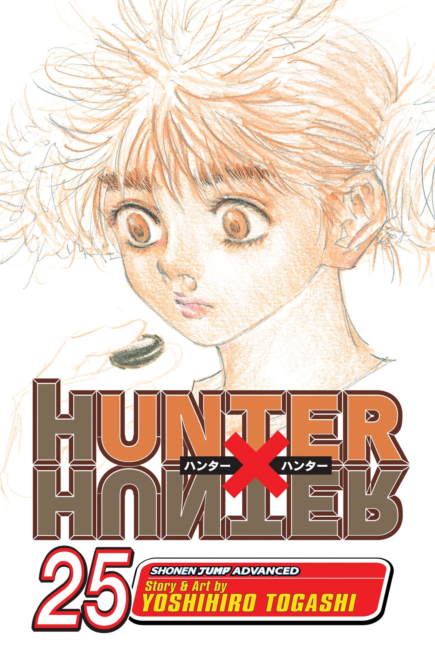 Hunter x Hunter Manga Volume 25