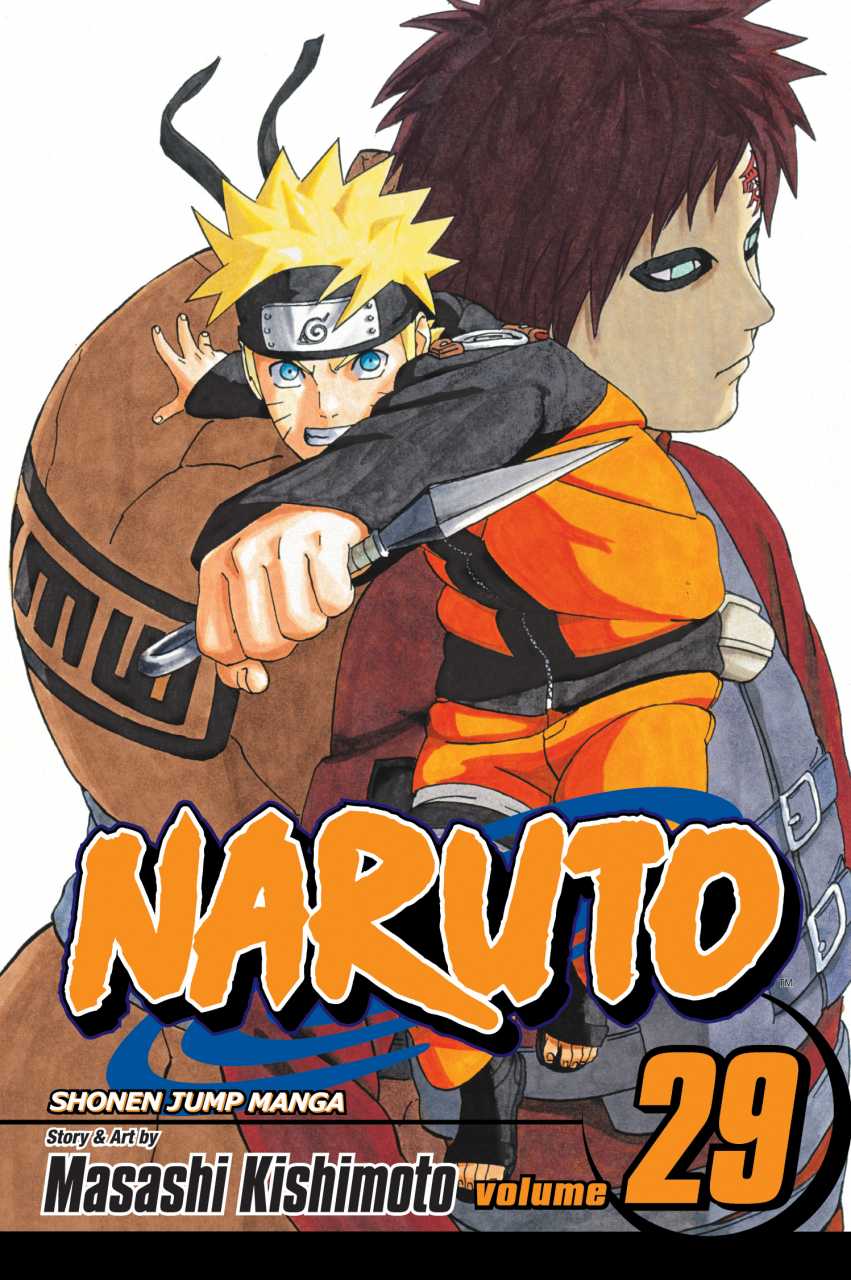 Naruto Manga Volume 29