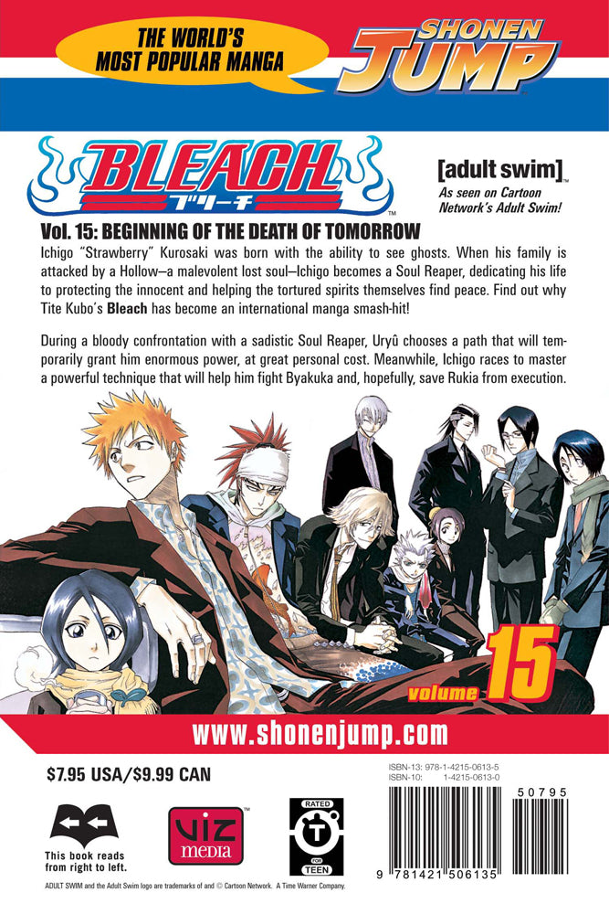 BLEACH Manga Volume 15