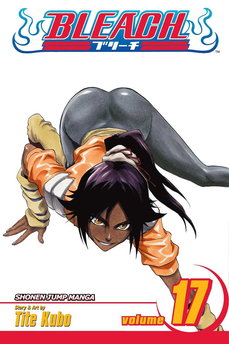 BLEACH Manga Volume 17