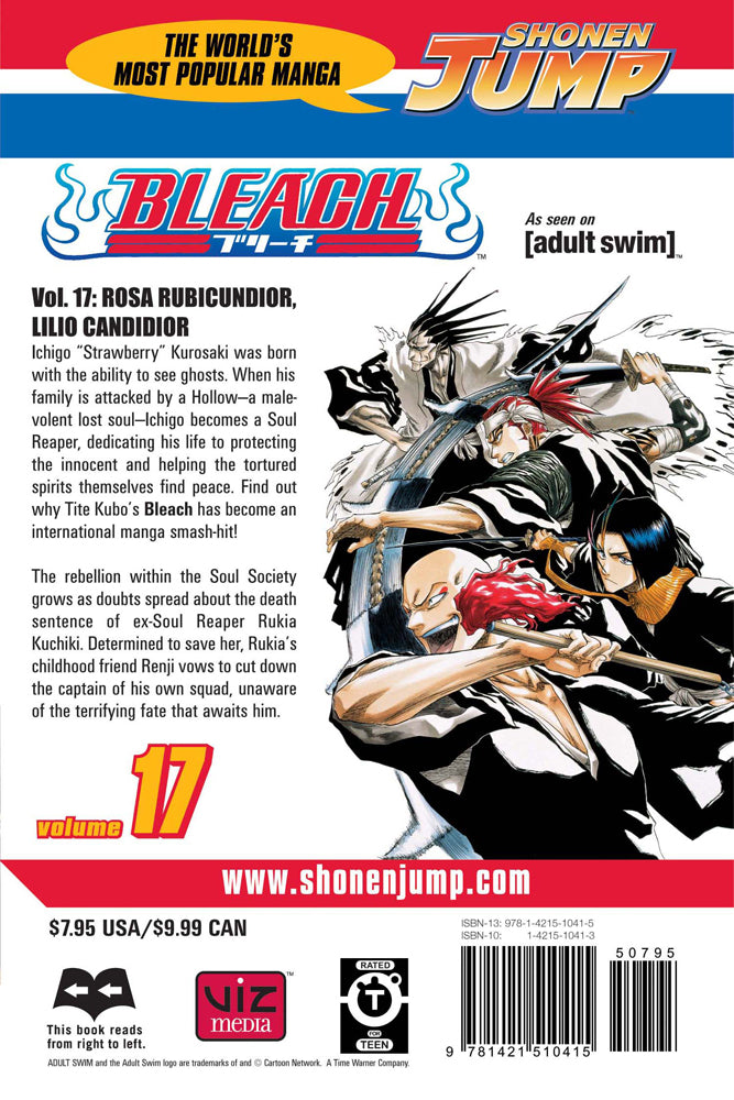 BLEACH Manga Volume 17