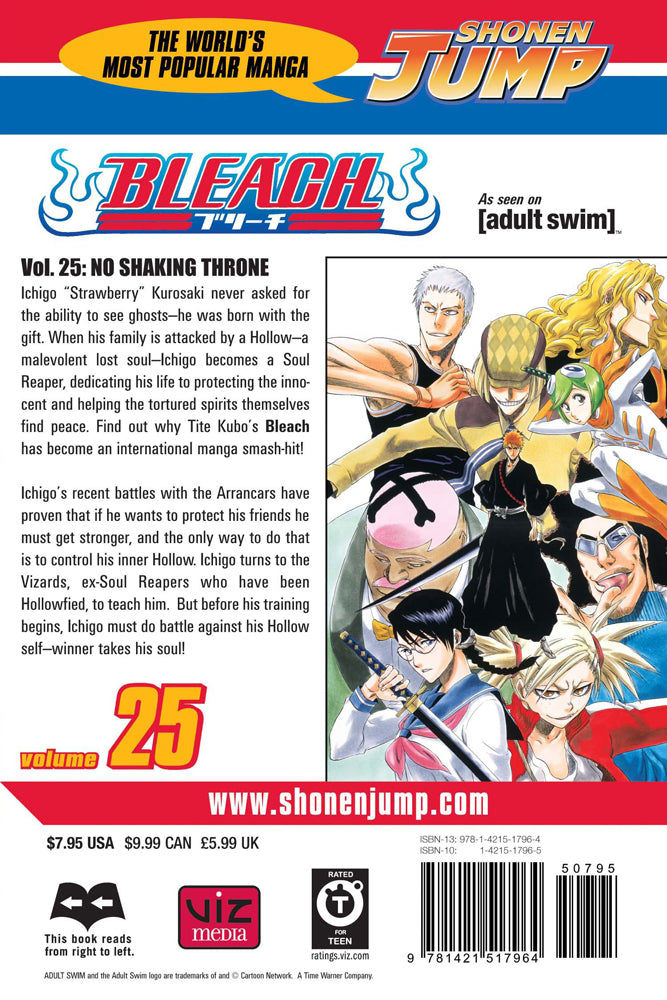 BLEACH Manga Volume 25