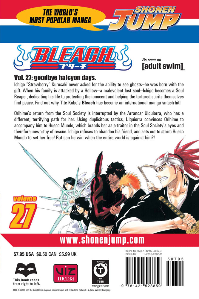 BLEACH Manga Volume 27