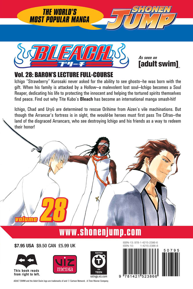BLEACH Manga Volume 28