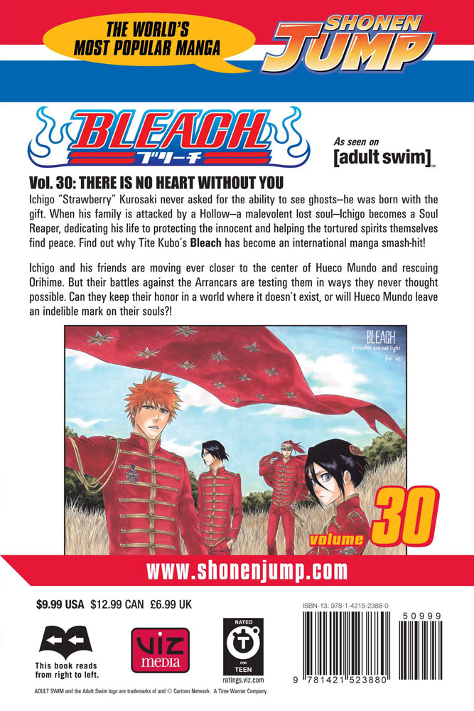 BLEACH Manga Volume 30