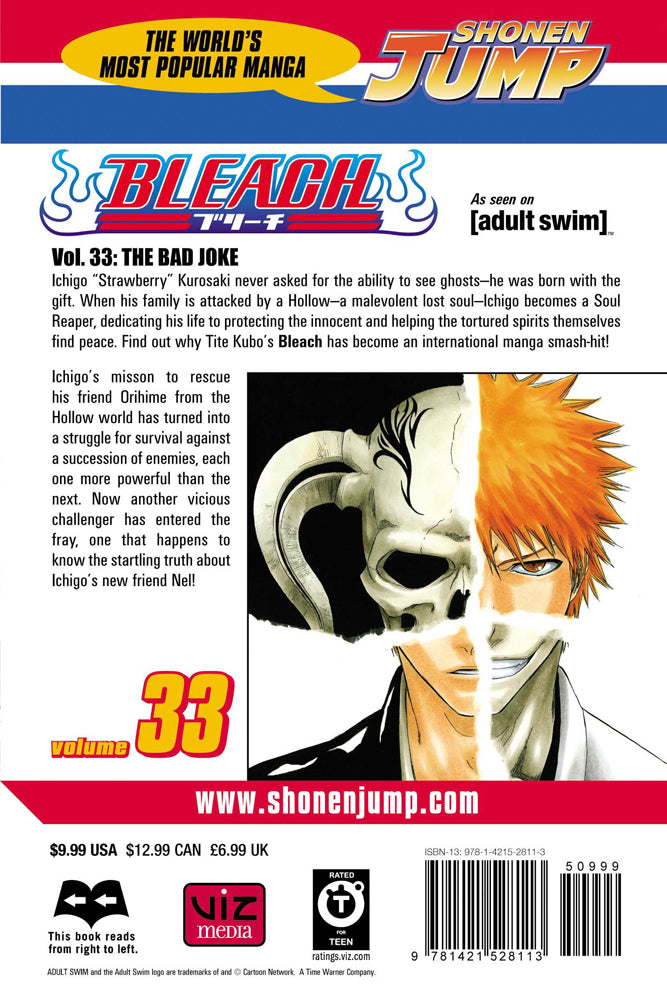 BLEACH Manga Volume 33