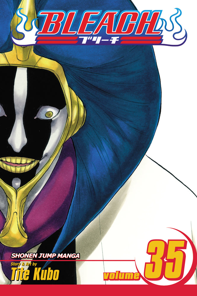 BLEACH Manga Volume 35