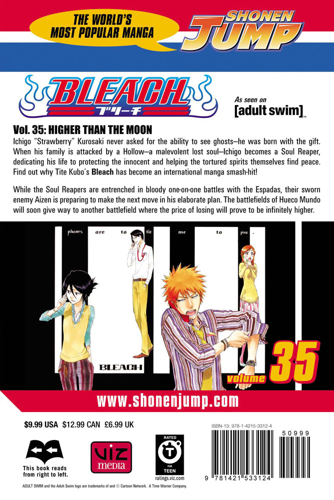 BLEACH Manga Volume 35