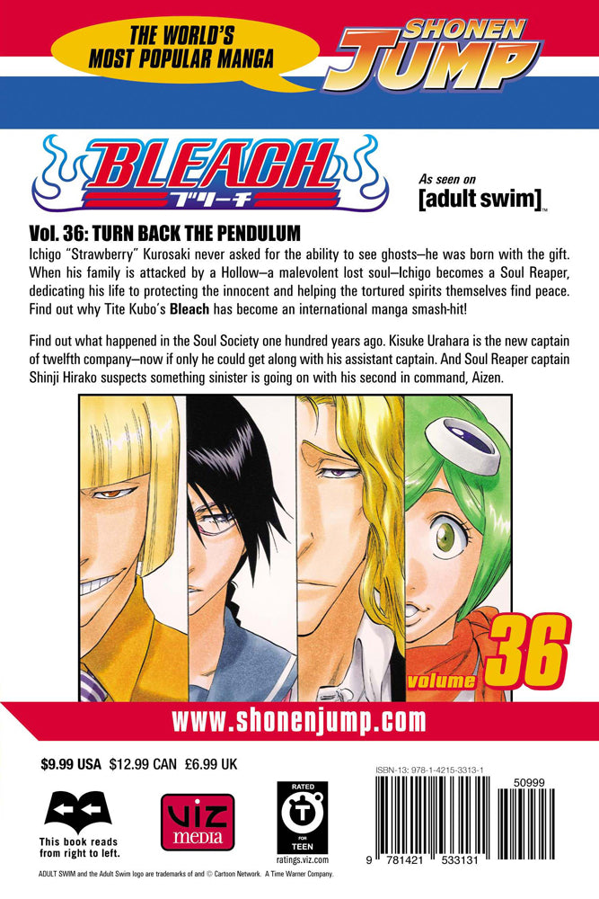 BLEACH Manga Volume 36
