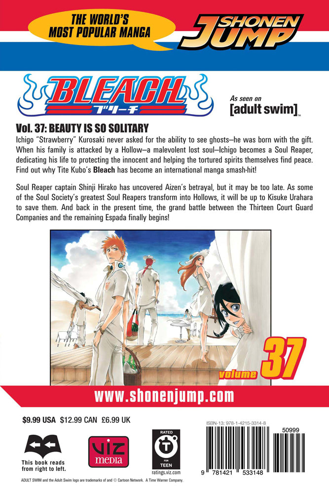 BLEACH Manga Volume 37