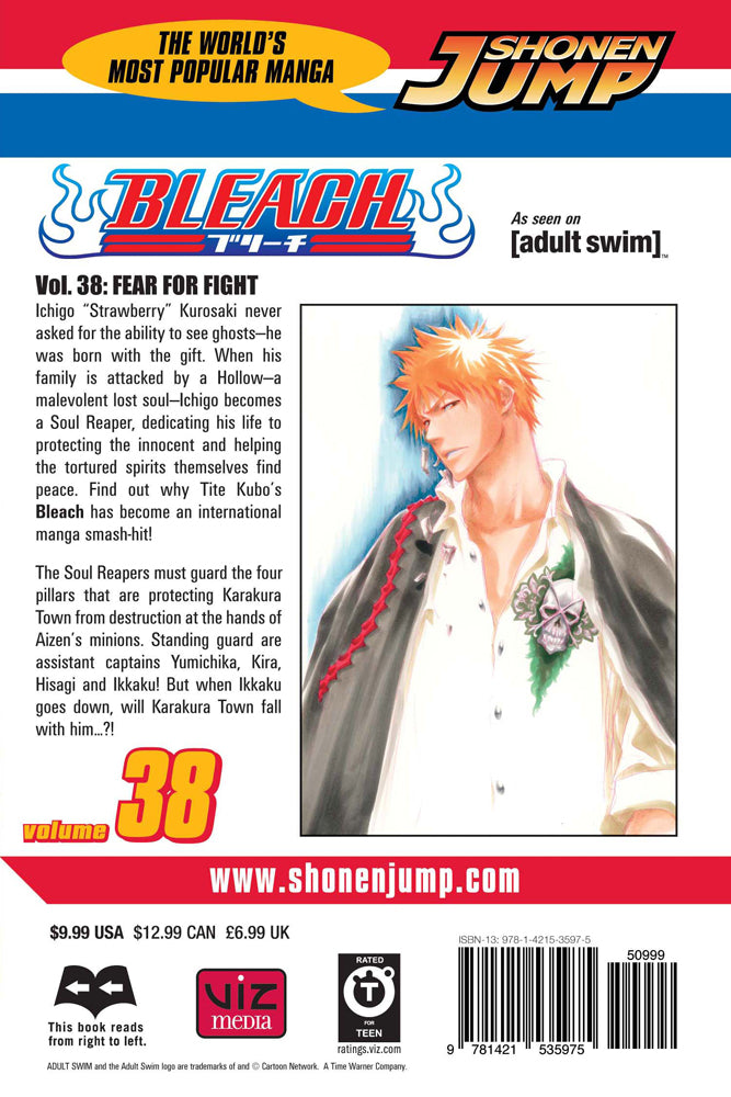 BLEACH Manga Volume 38