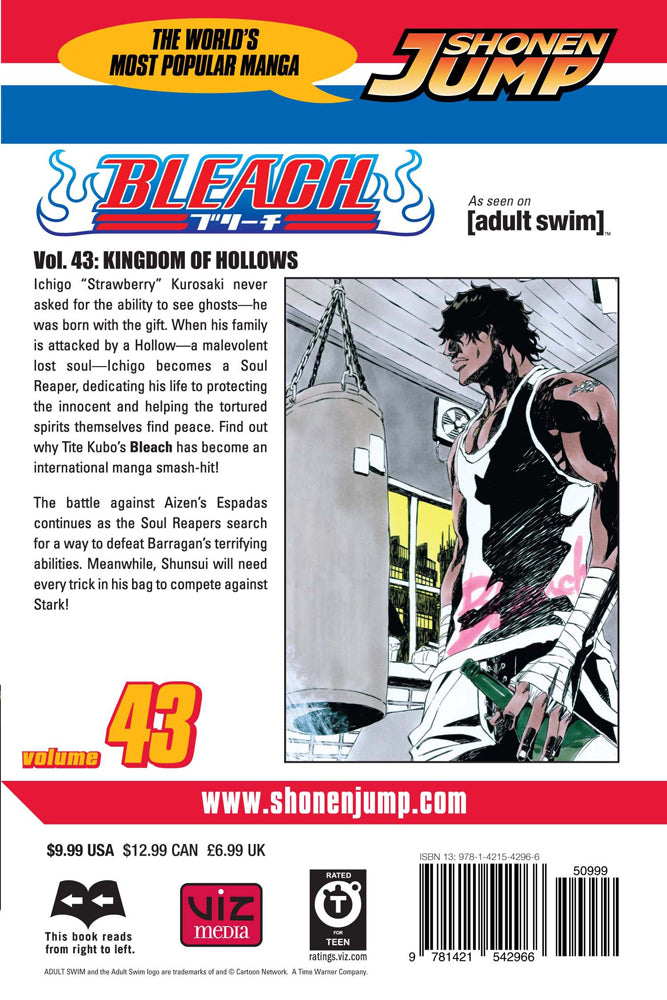 BLEACH Manga Volume 43