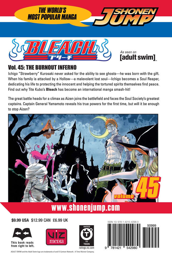 BLEACH Manga Volume 45