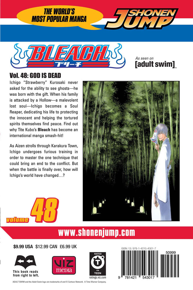 BLEACH Manga Volume 48