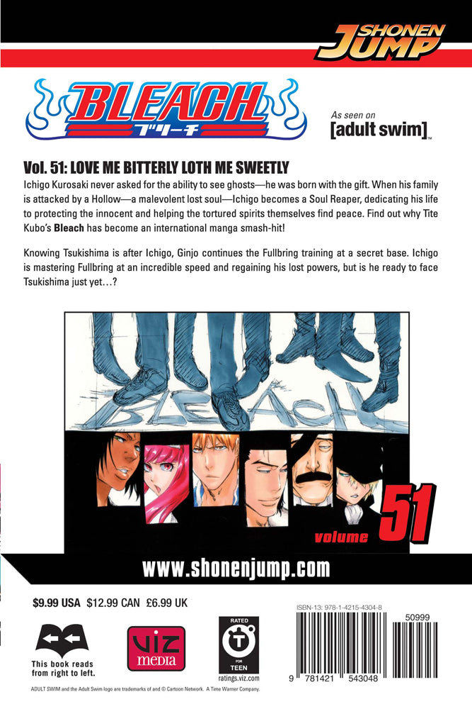 BLEACH Manga Volume 51