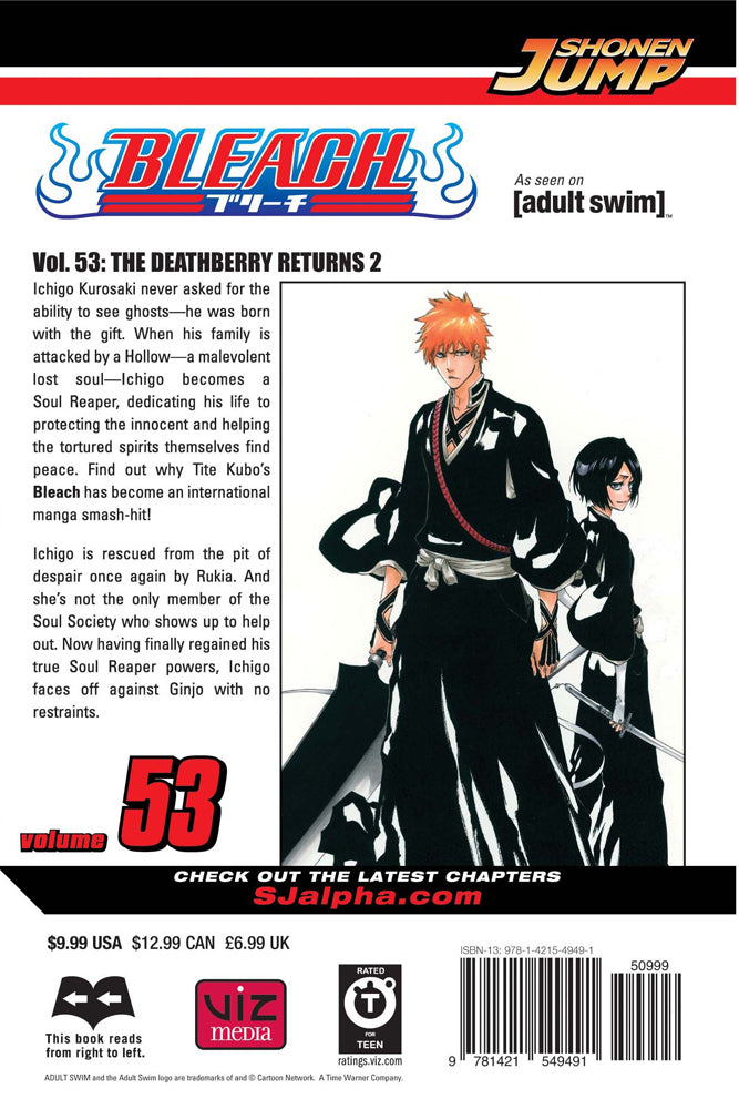 BLEACH Manga Volume 53