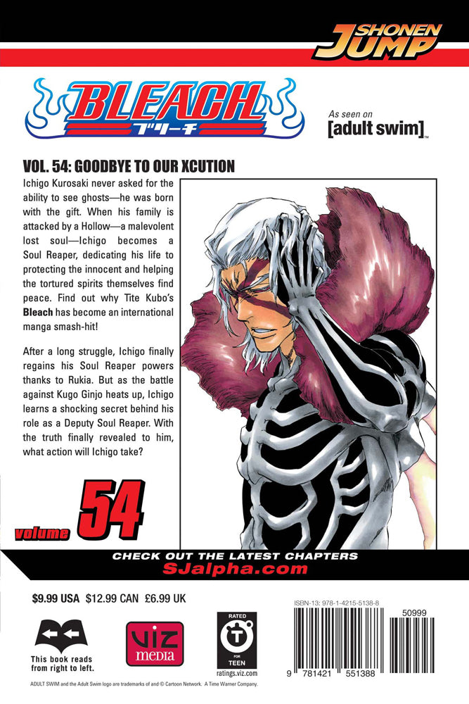 BLEACH Manga Volume 54