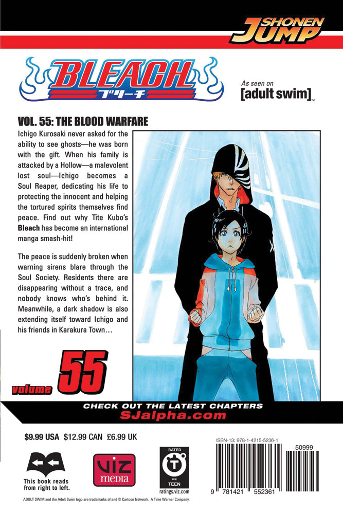 BLEACH Manga Volume 55