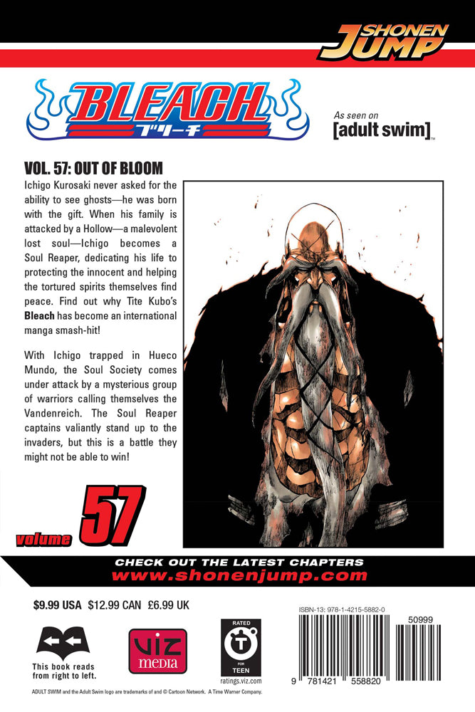 BLEACH Manga Volume 57