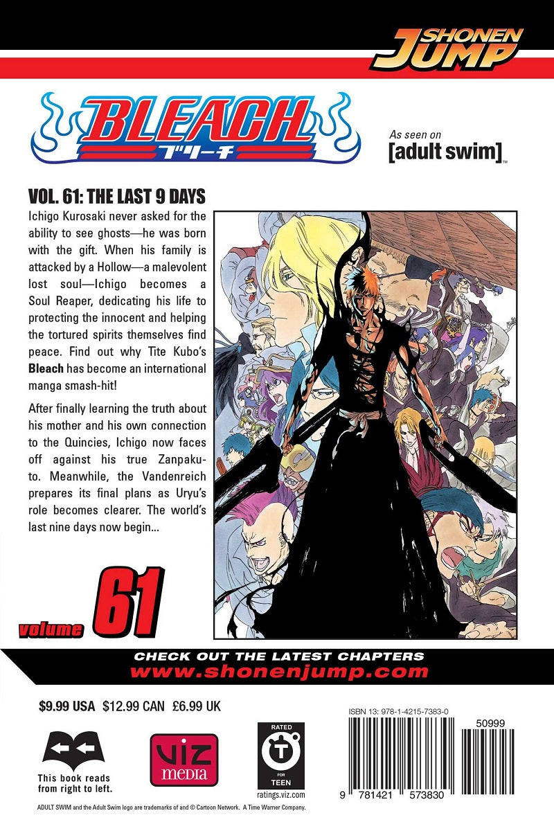 BLEACH Manga Volume 61