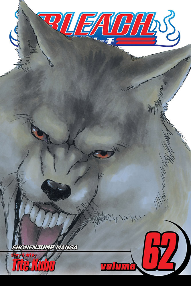 BLEACH Manga Volume 62