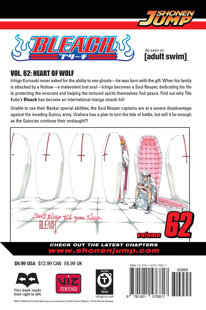 BLEACH Manga Volume 62