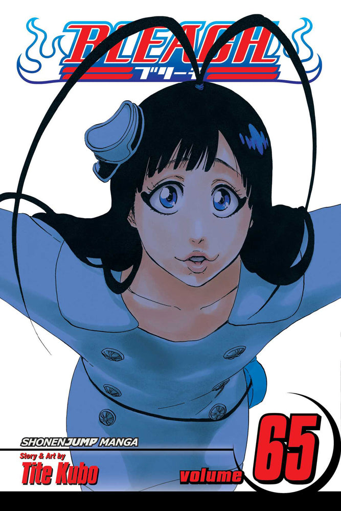 BLEACH Manga Volume 66
