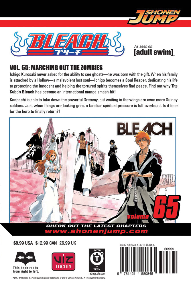 BLEACH Manga Volume 66