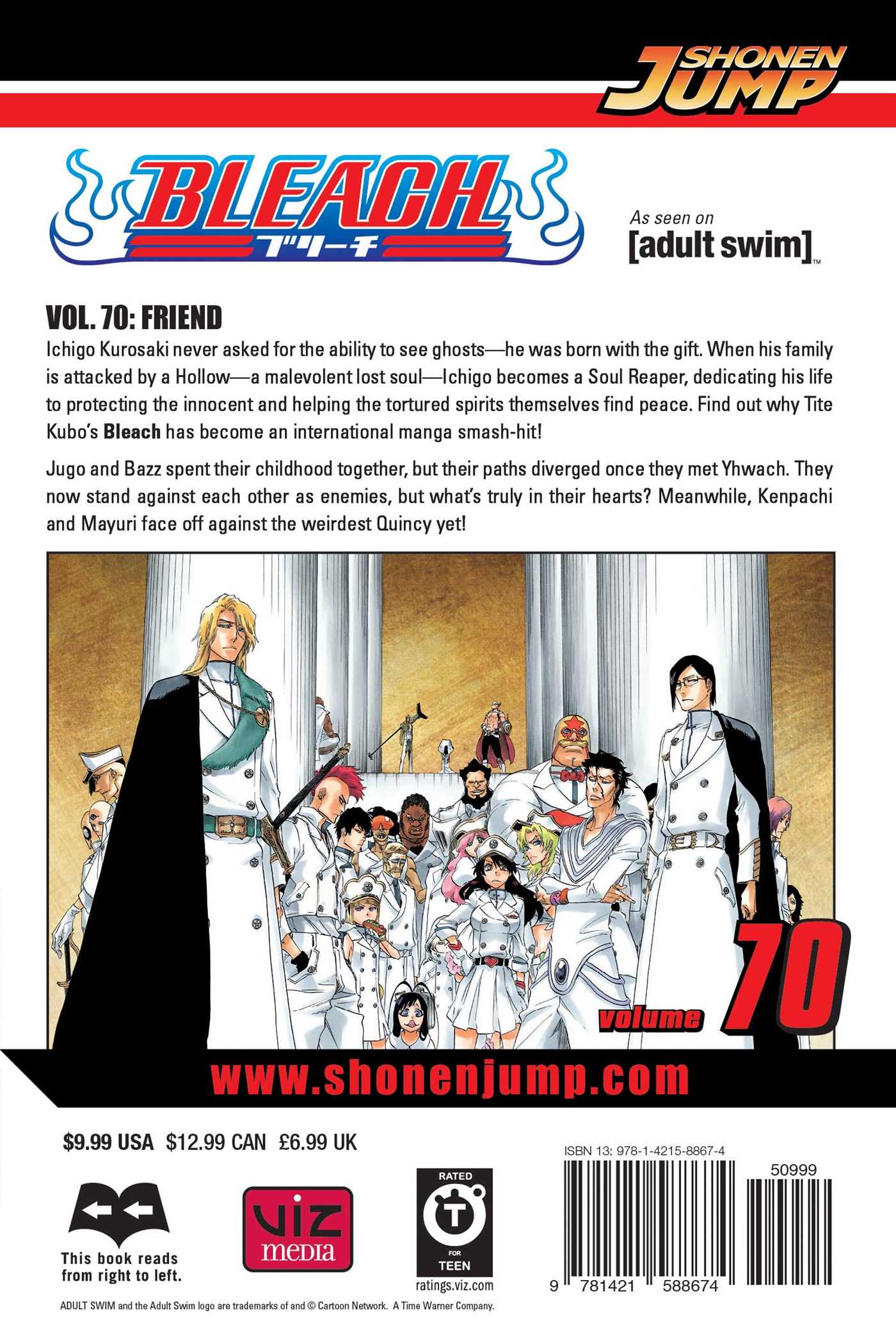 BLEACH Manga Volume 70