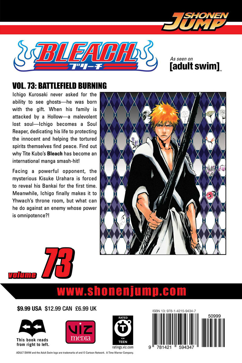 BLEACH Manga Volume 73