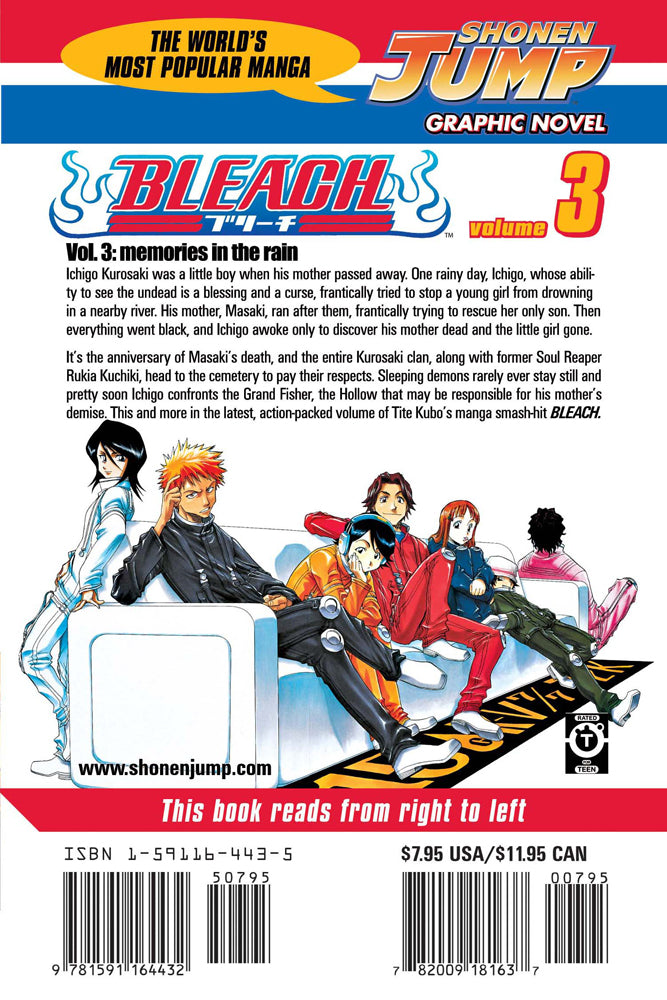 BLEACH Manga Volume 3