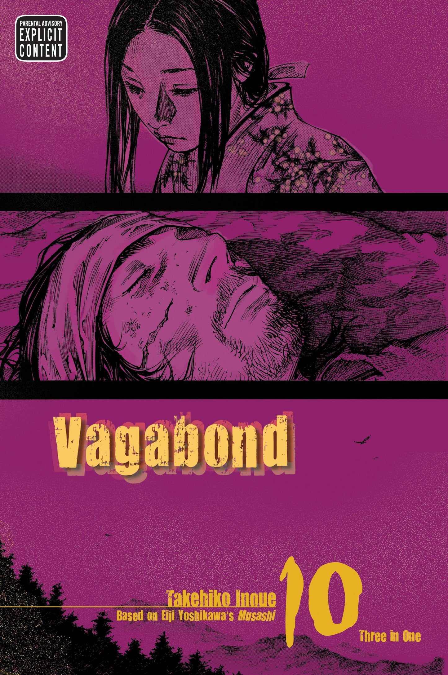VAGABOND VIZBIG EDITION VOLUME 10