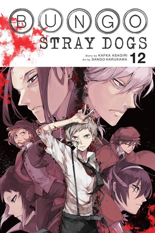 Bungo stray dogs' manga volume 12