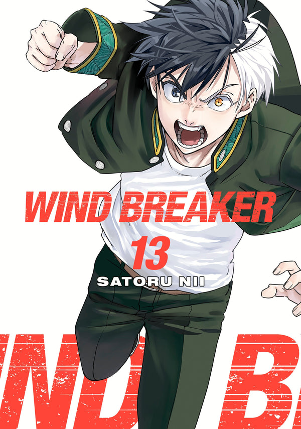 Wind Breaker Manga Volume 13