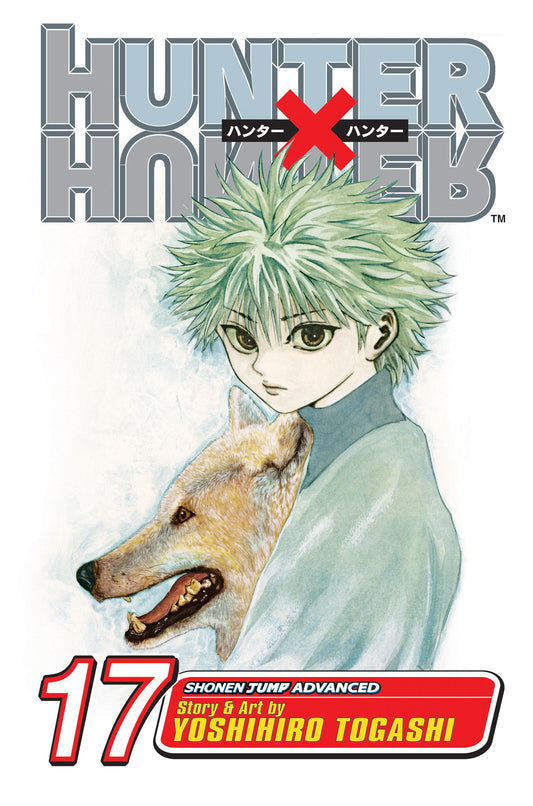 Hunter x Hunter Manga Volume 17