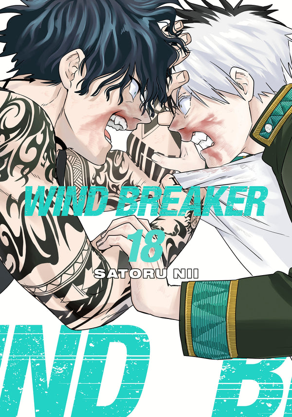Wind Breaker Manga Volume 18