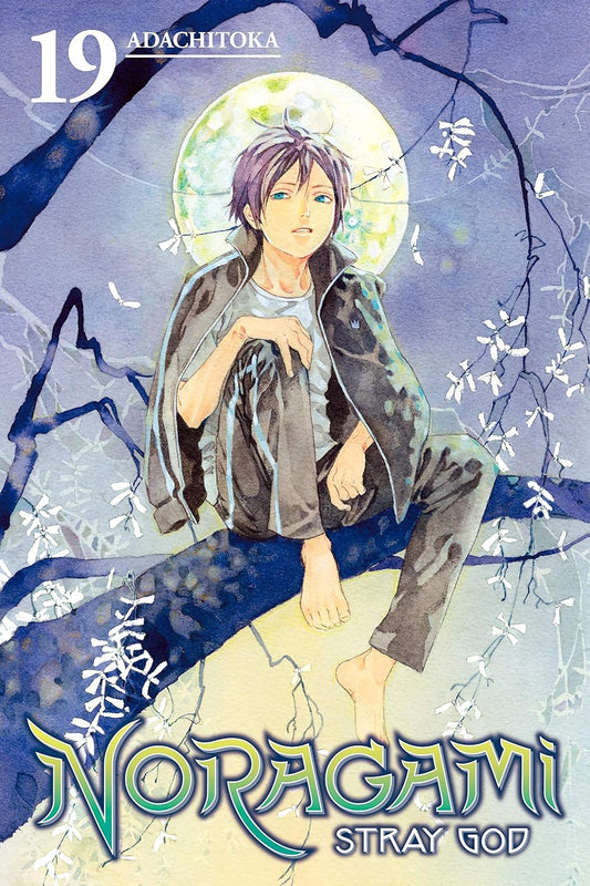 Noragami: Stray God Manga Volume 19