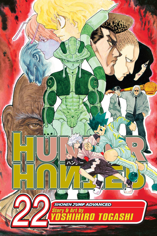 Hunter x Hunter Manga Volume 22
