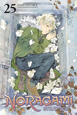 Noragami: Stray God Manga Volume 25