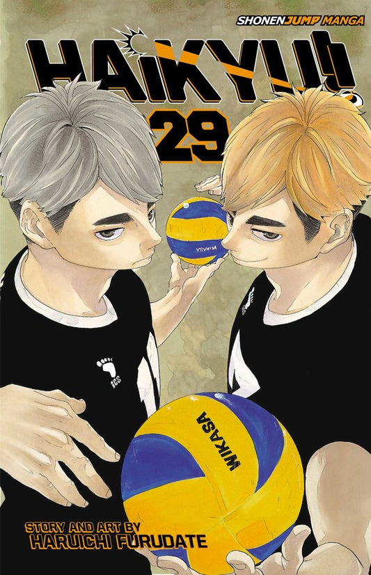 Haikyu!! Manga Volume 29