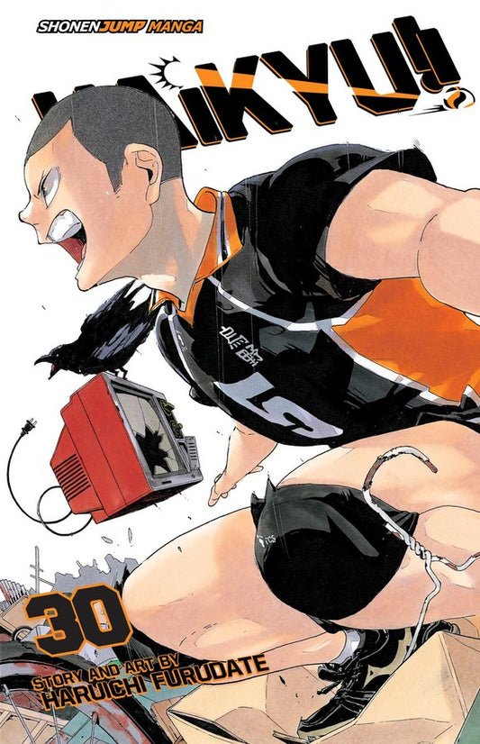 Haikyu!! Manga Volume 30