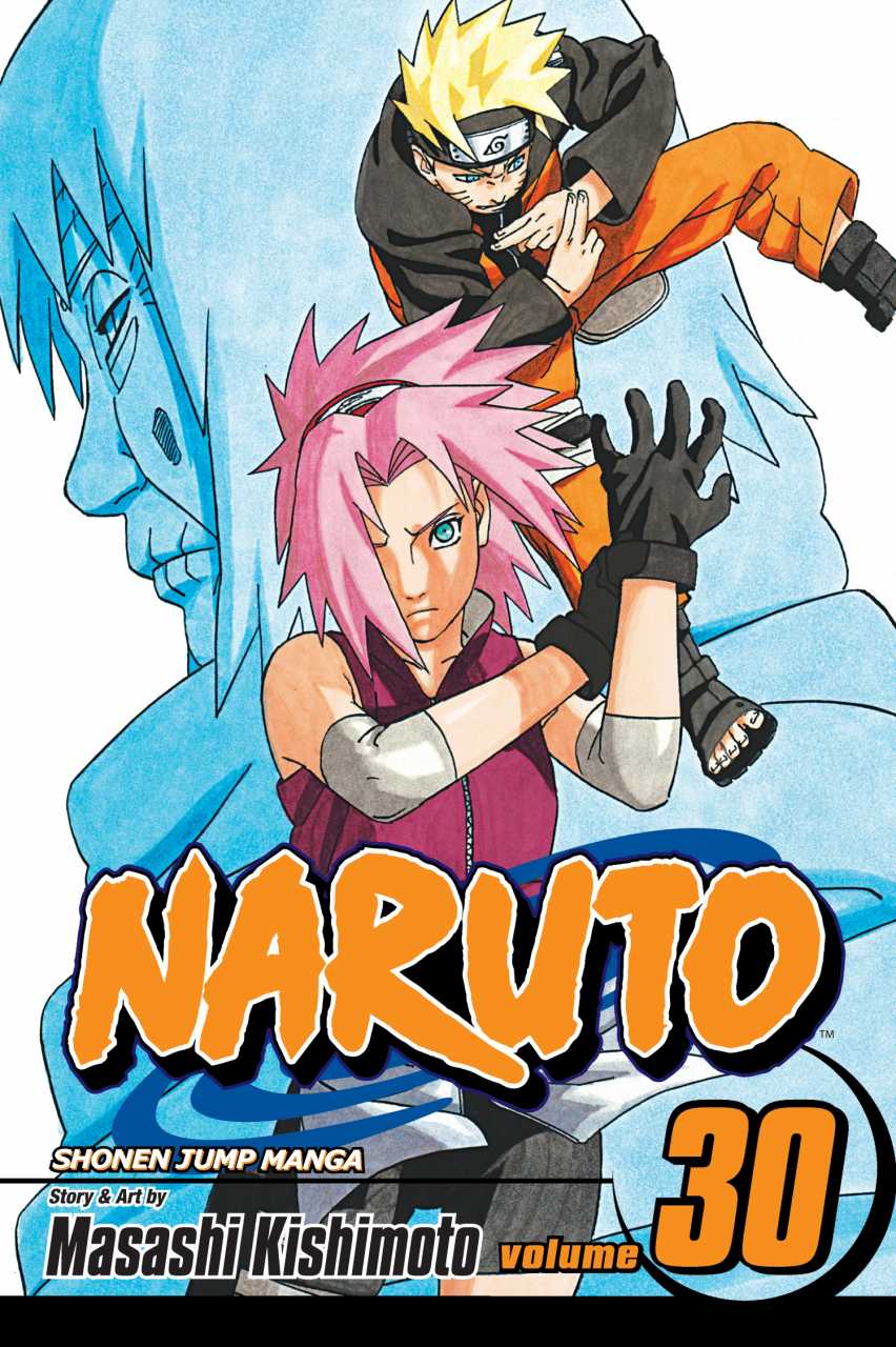 Naruto Manga Volume 30