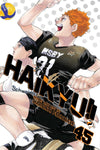 Haikyu!! Manga Volume 45