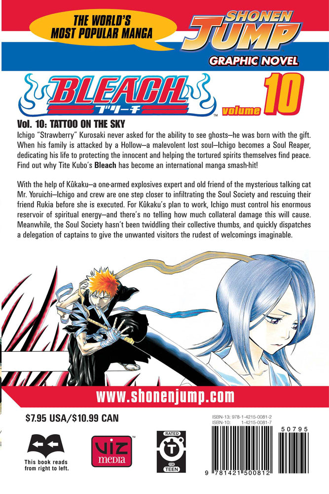 BLEACH Manga Volume 10