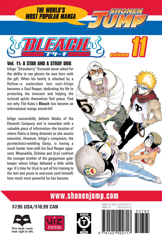 BLEACH Manga Volume 11