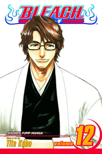 BLEACH Manga Volume 12
