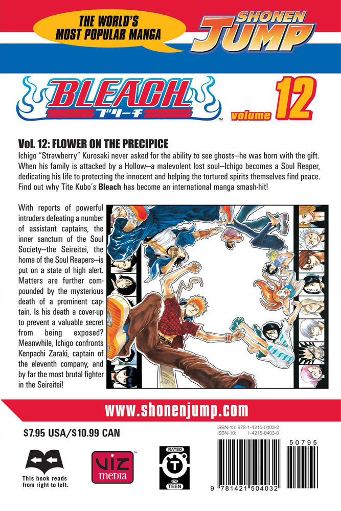 BLEACH Manga Volume 12