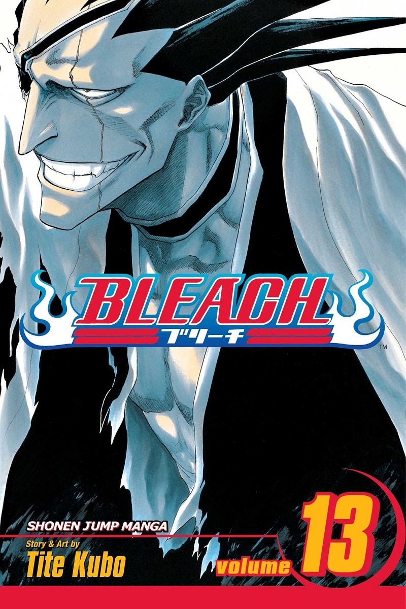 BLEACH Manga Volume 13